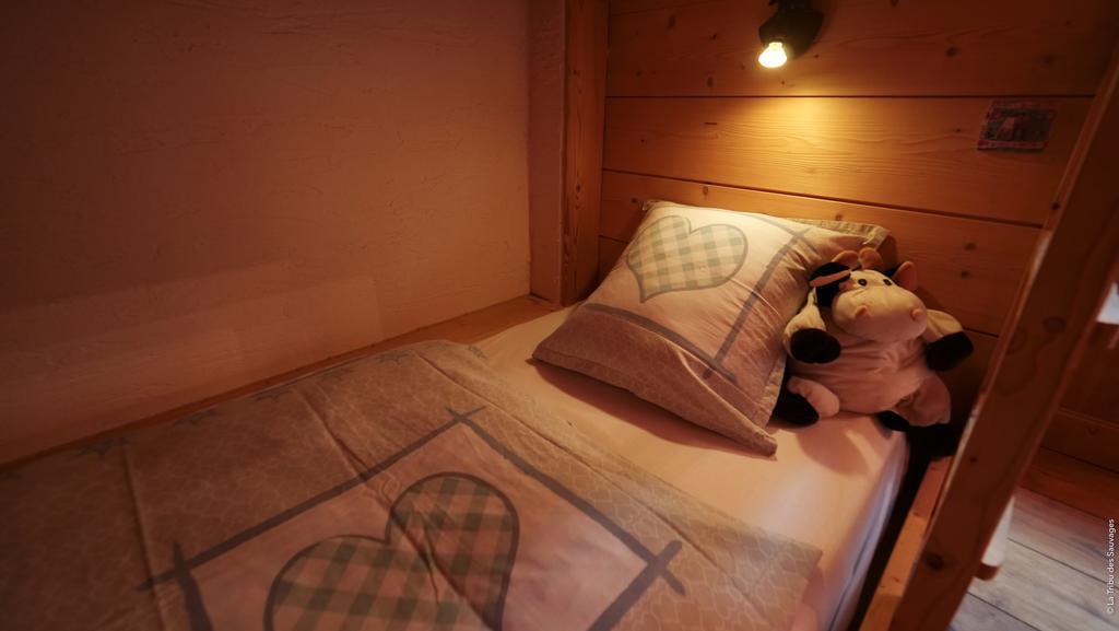 Chalet La Taniere De Groumff Σαμονί Εξωτερικό φωτογραφία